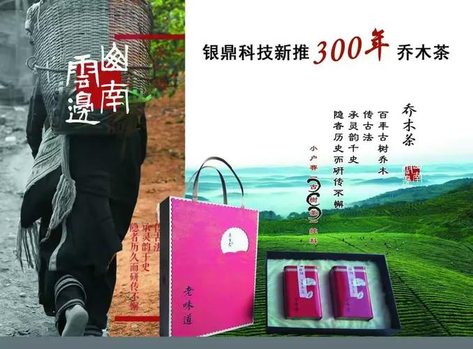 热烈祝贺银鼎科技健康产品生产基地“百年乔木茶”隆重上市