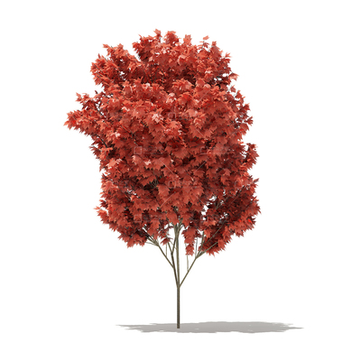 C4D小乔木灌木植物3D模型 乔木的精细构建与应用指南